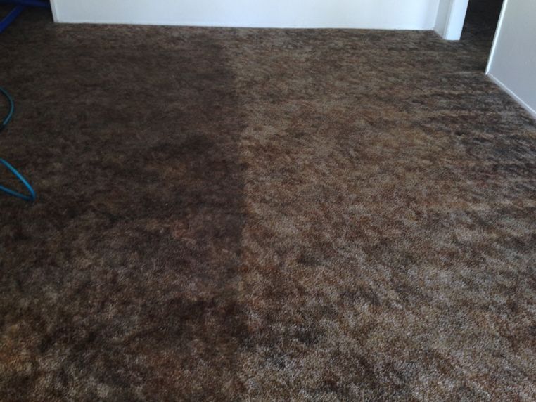 A room with a dirty carpet and a clean carpet