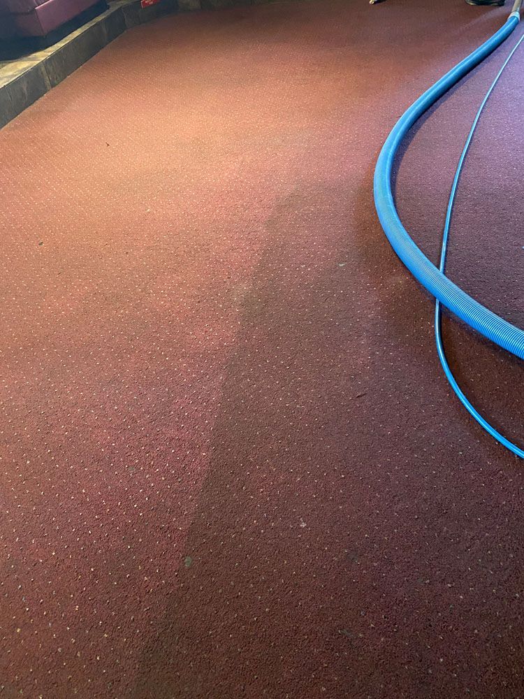 A person is cleaning a red carpet with a vacuum cleaner.