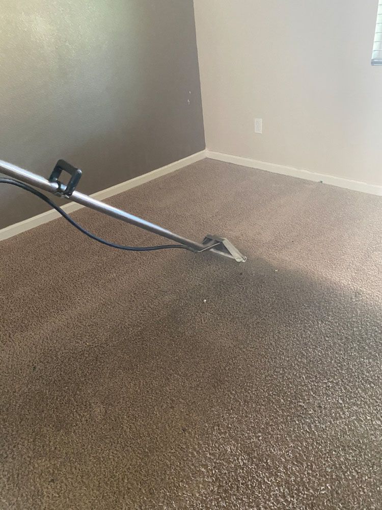 A vacuum cleaner is cleaning a carpet in a room.