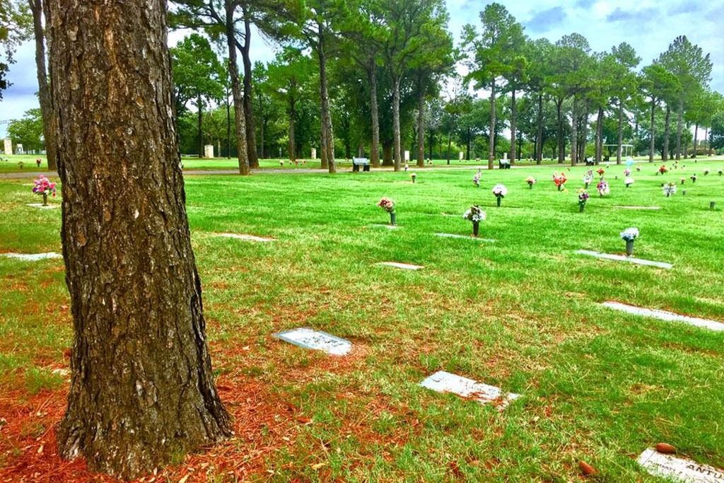 Cemetery with green grass, headstones, and trees under a cloudy sky. A large tree trunk is in the foreground.