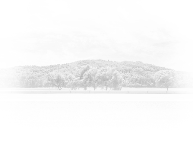 Scenery of mountains and trees in grayscale | Itasca Automotive