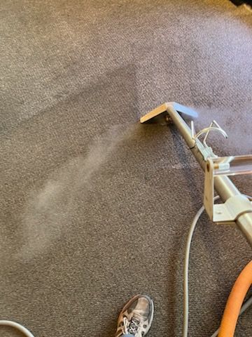 A person is using a vacuum cleaner to clean a carpet in a living room.