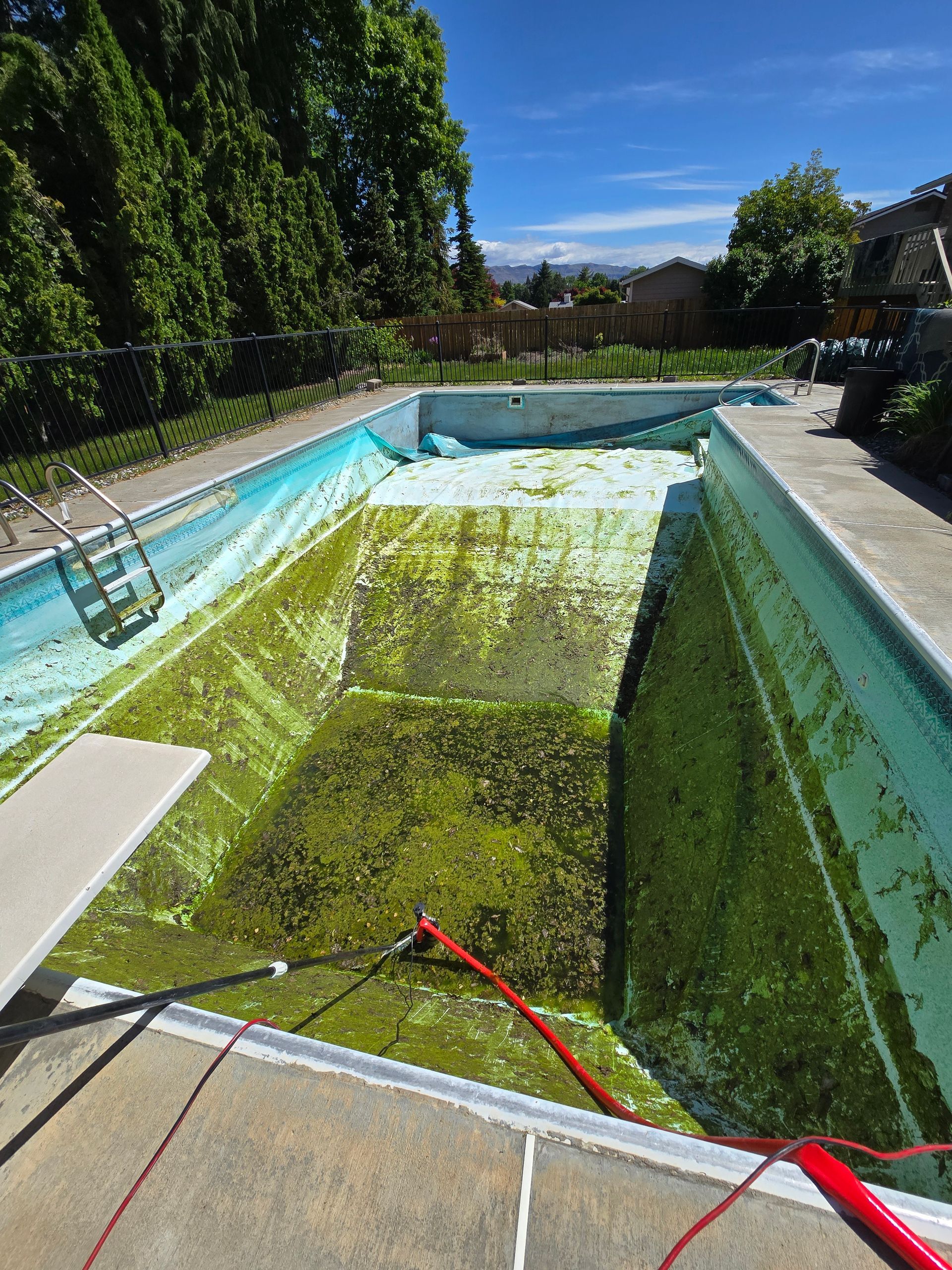 Algae-filled pool with diving board, ladder, and red hose on a sunny day.