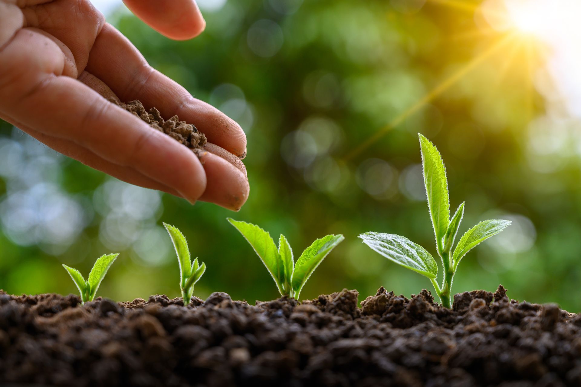 Fertilization — Lansing, MI — Lawn Sprinklers