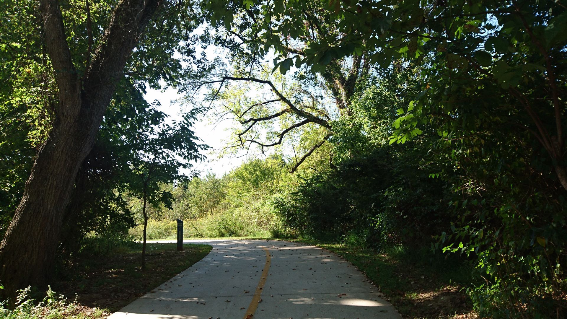 Paved path through trees, leading to brighter area; sunlight filters through leaves.