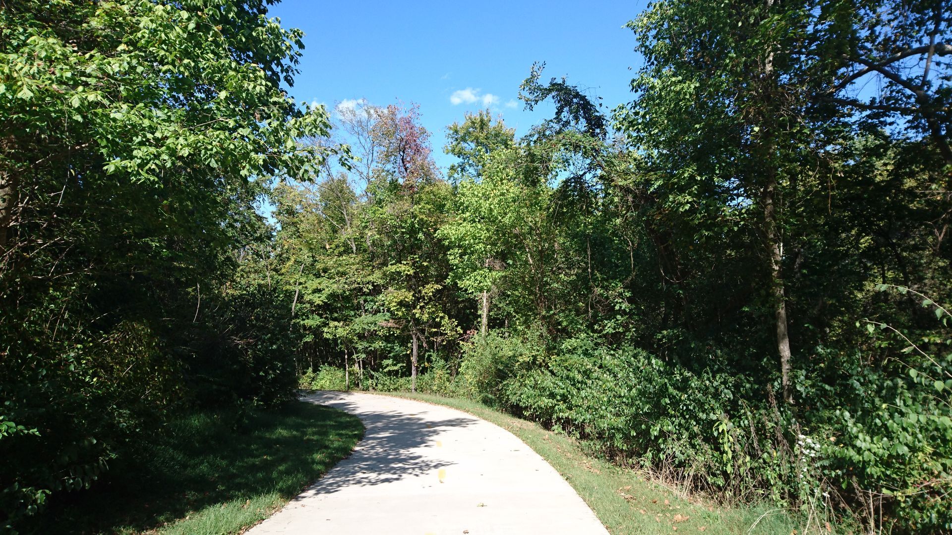 Paved path winds through lush green trees under a bright blue sky.