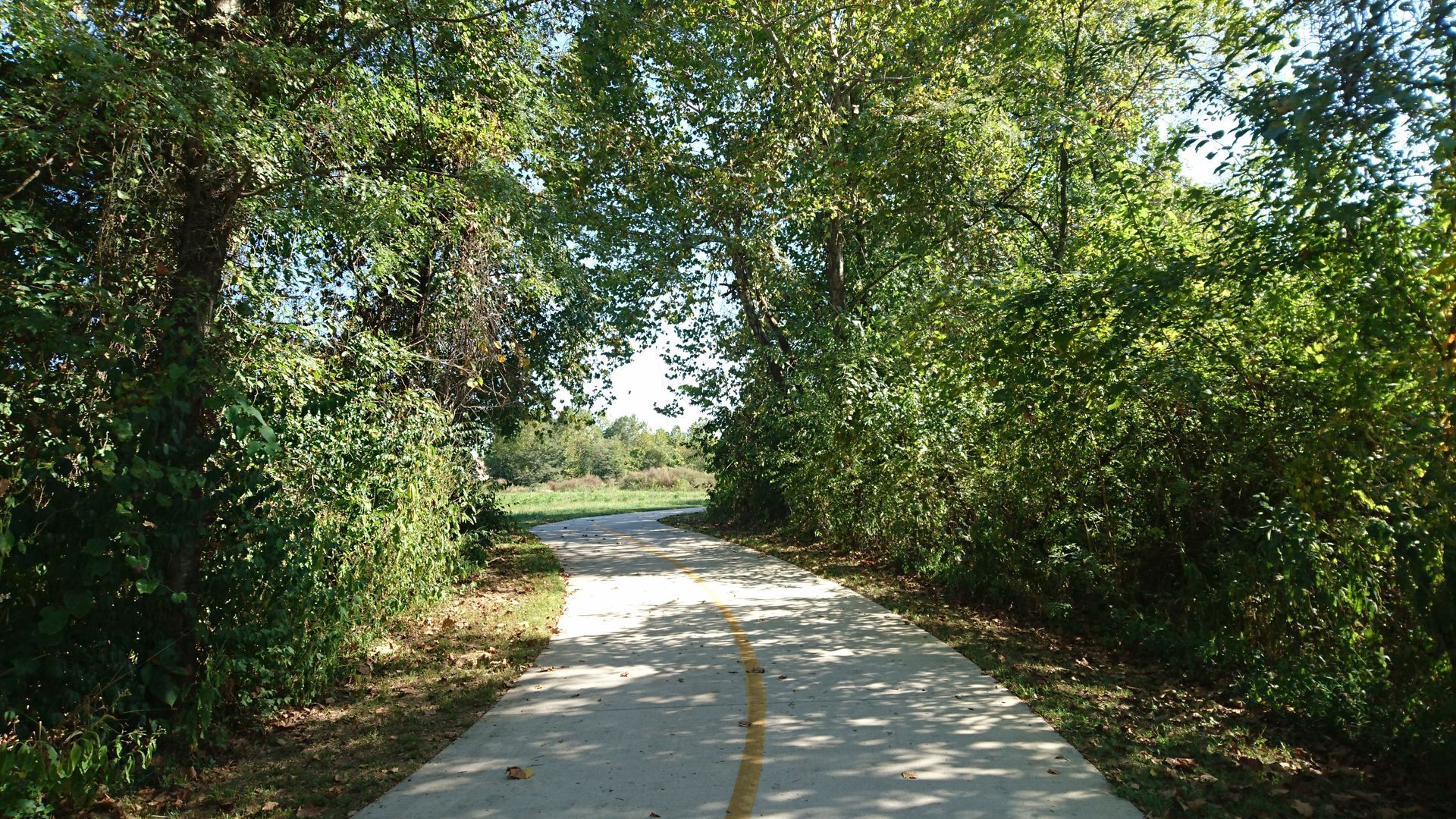 Paved pathway through trees, leading to a grassy field under a sunny sky.