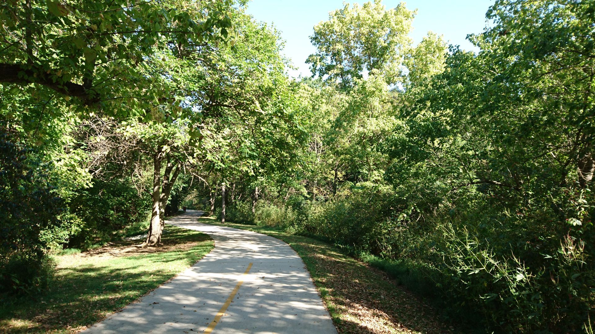 Paved path winds through lush green trees on a sunny day.