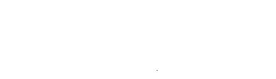 treasure-chest-antiques-white-logo