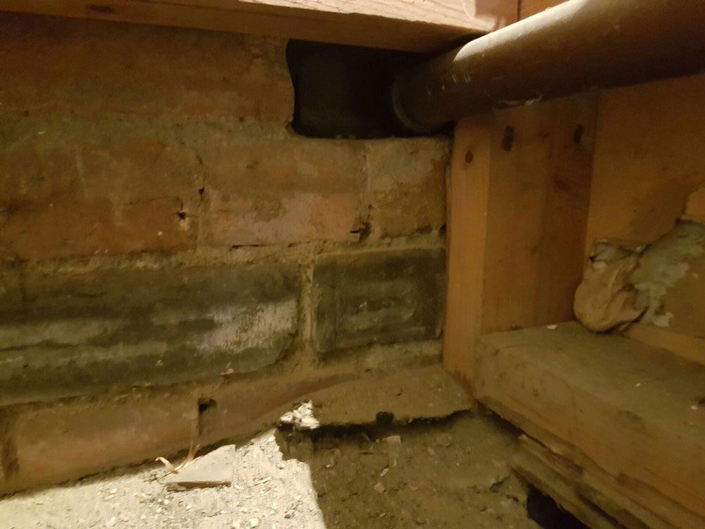rat proofing before