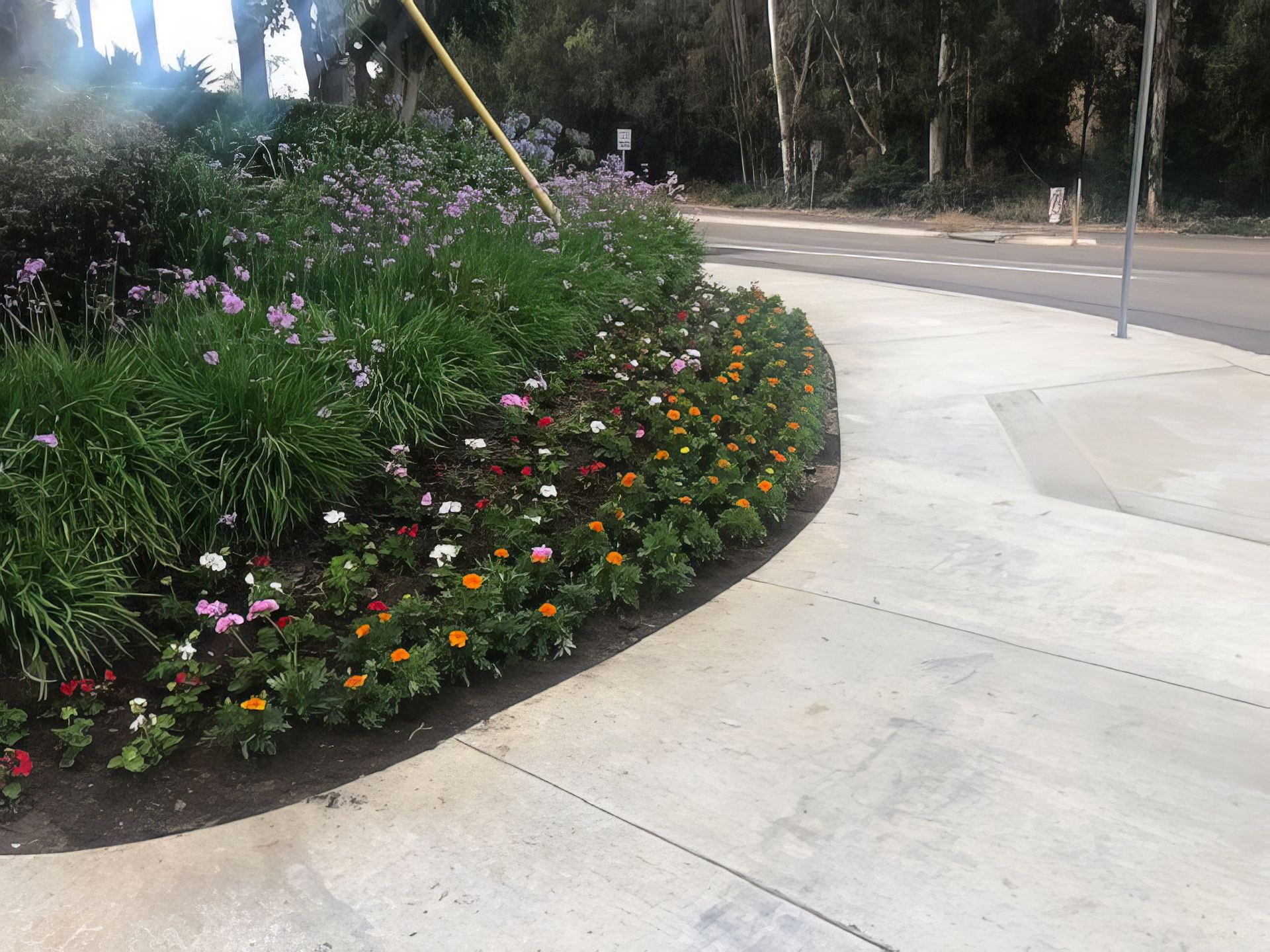A sidewalk with flowers on it and trees in the background