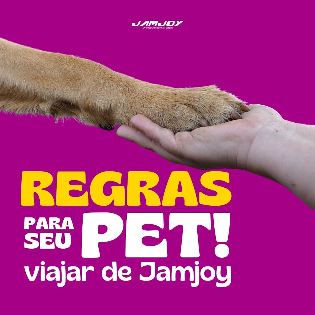 Regras para transporte de pet na jamjoy