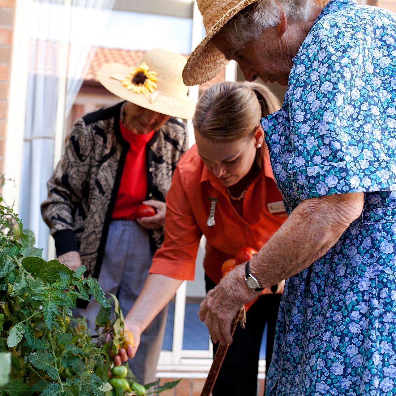 Assisting elderly women gardening.