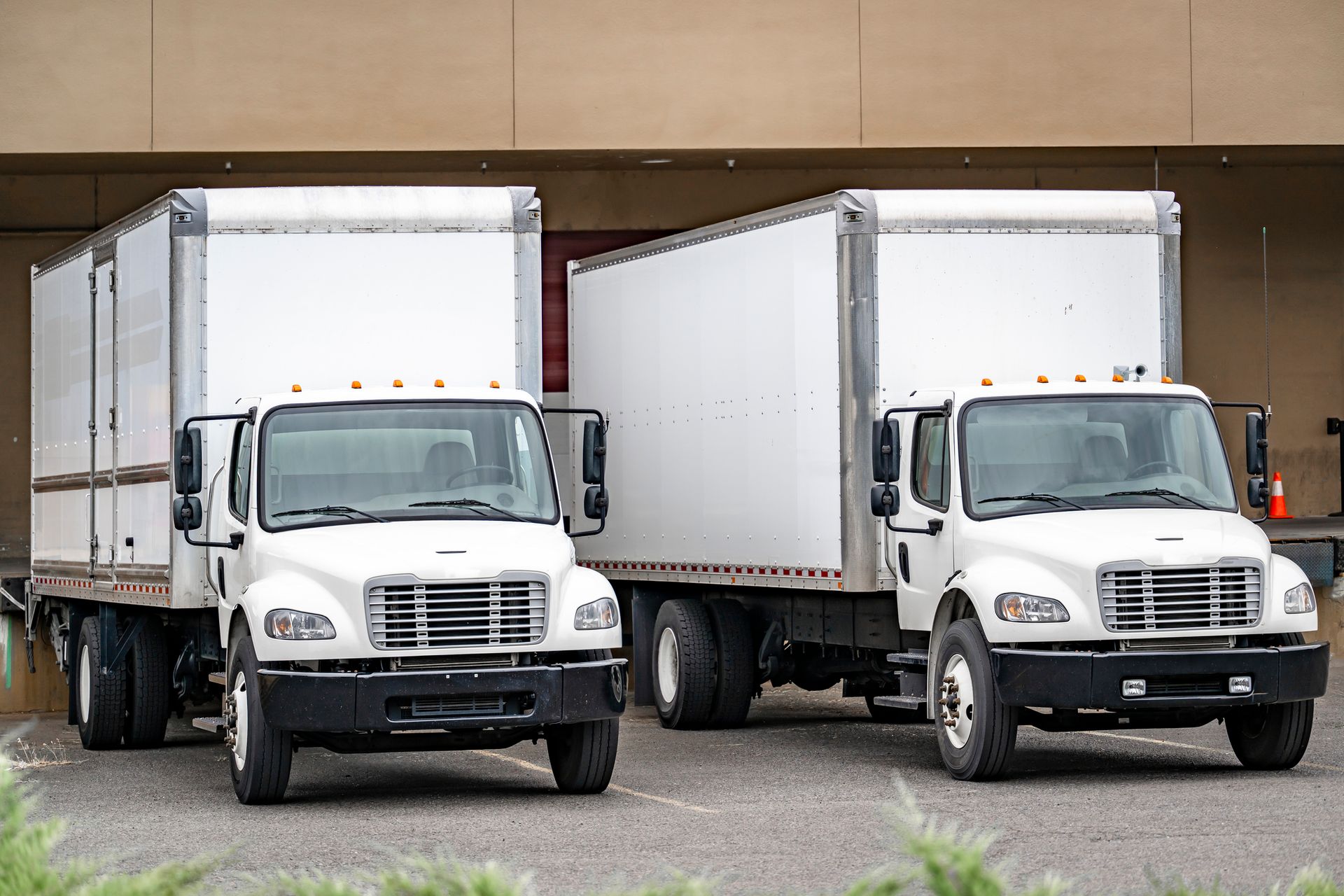White semi-trucks parked in a row at sunset.