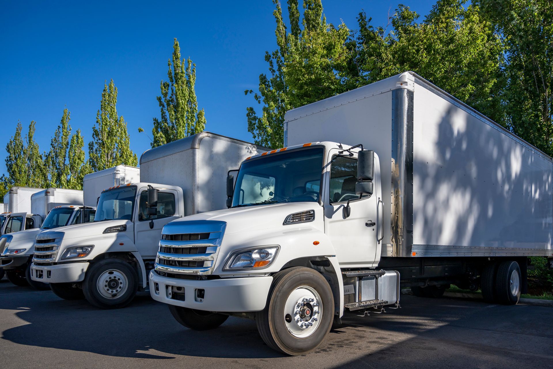 Line of white trucks parked outdoors under a blue sky with clouds.