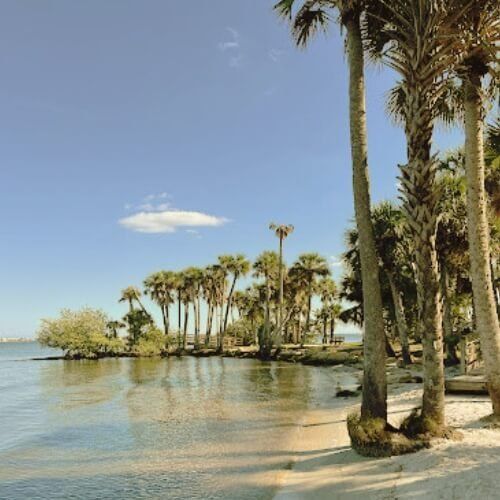 A beach with palm trees and a body of water