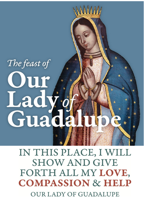guadalupe feast day