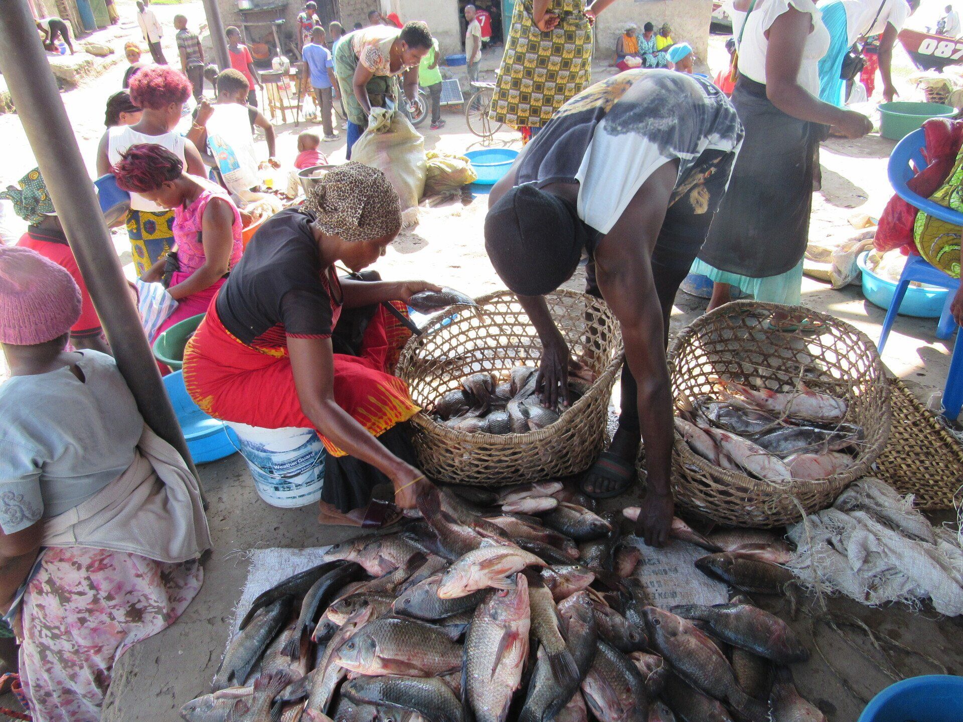 Fischmarkt an der Grenze zwischen  Uganda und der Demokratischen Republik Kongo