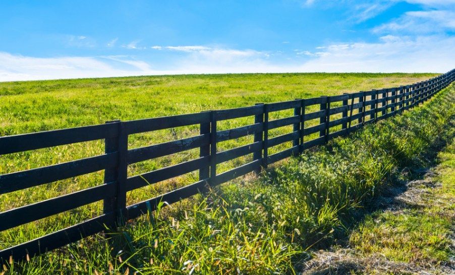 A Wooden Fence Surrounds a Grassy Field on A Sunny Day — Hazells Farm & Fertilizer Services in Taminda, NSW