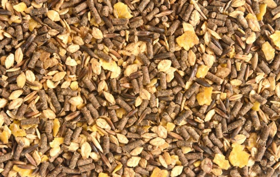 A Close up Of a Pile of Brown and Yellow Food — Hazells Farm & Fertilizer Services in Taminda, NSW