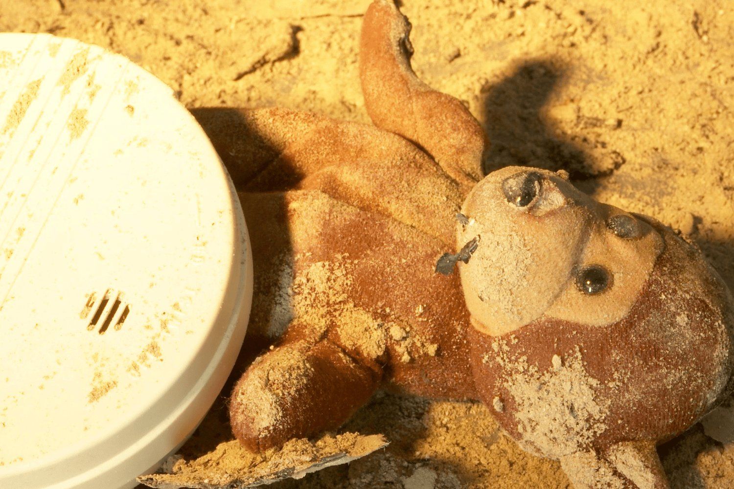 fire damage restoration services