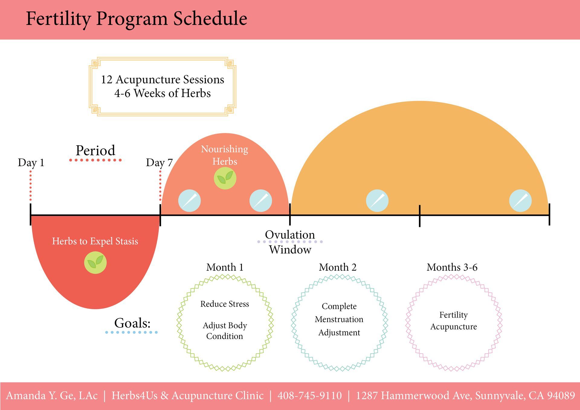 A diagram showing the fertility program schedule for a woman