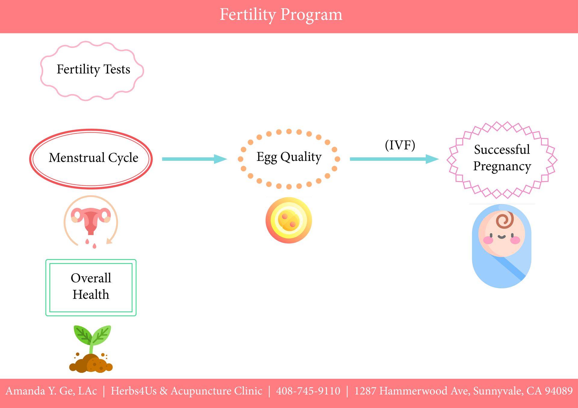 A diagram of a fertility program with a baby in the middle