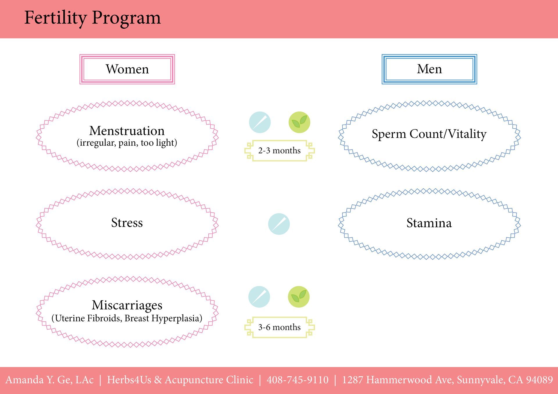 A diagram of the fertility program for women and men