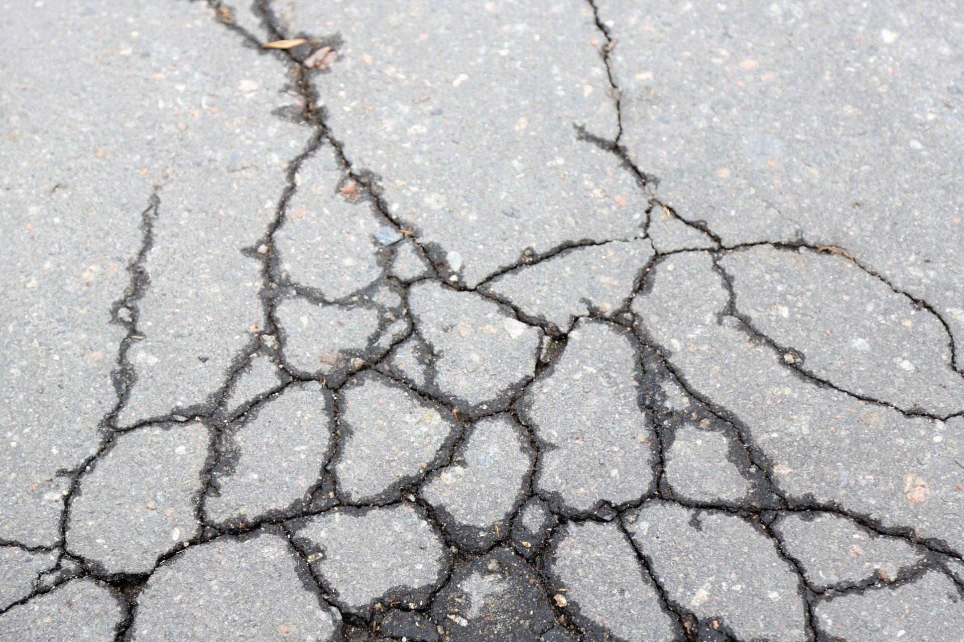 asphalt vs concrete driways