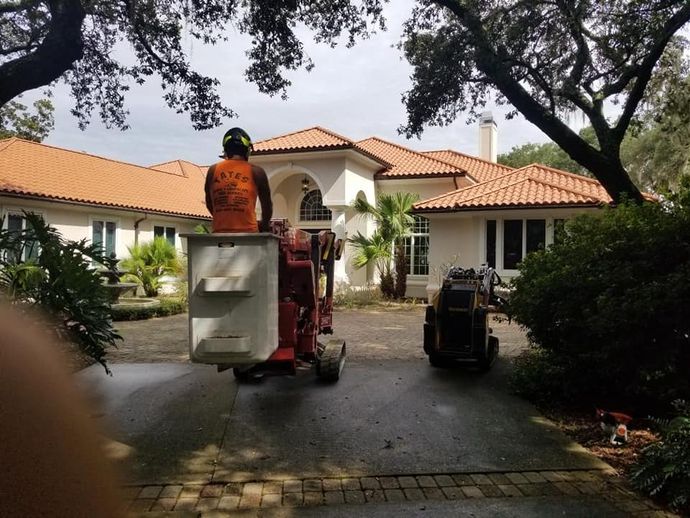 Worker Outside - Mary Esther, FL - TATES Tree Service