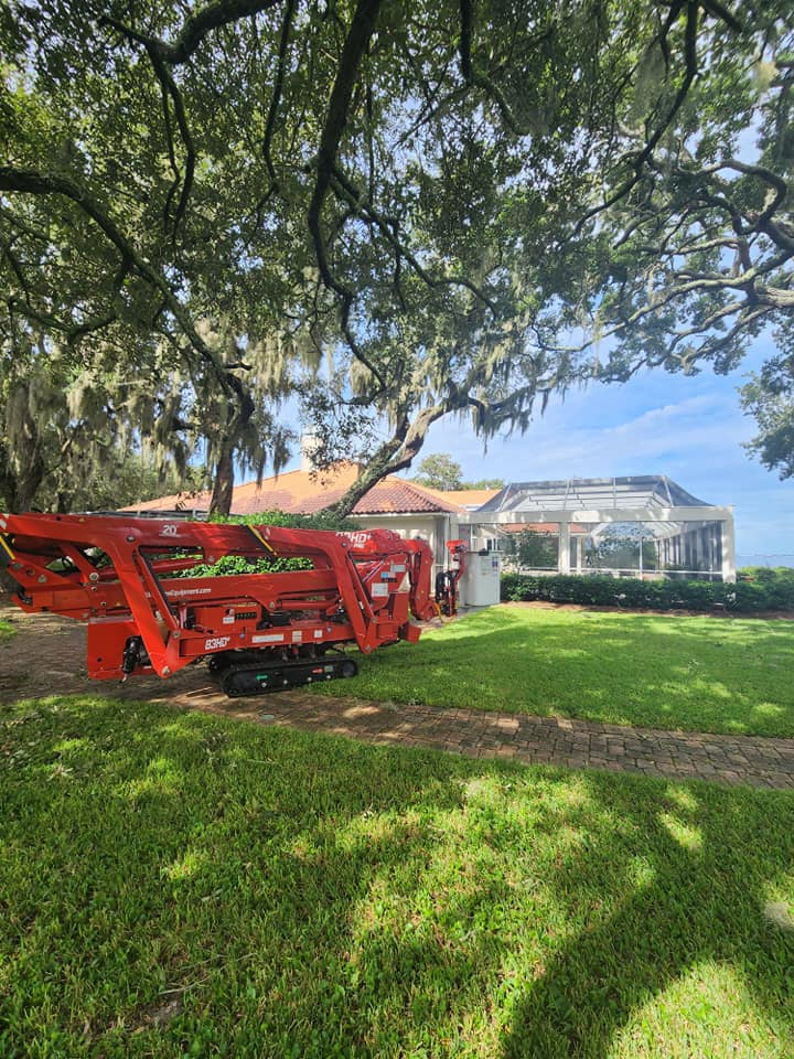 Machine Under Tree - Mary Esther, FL - TATES Tree Service