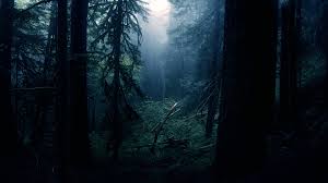 Sun Beam through dark woods