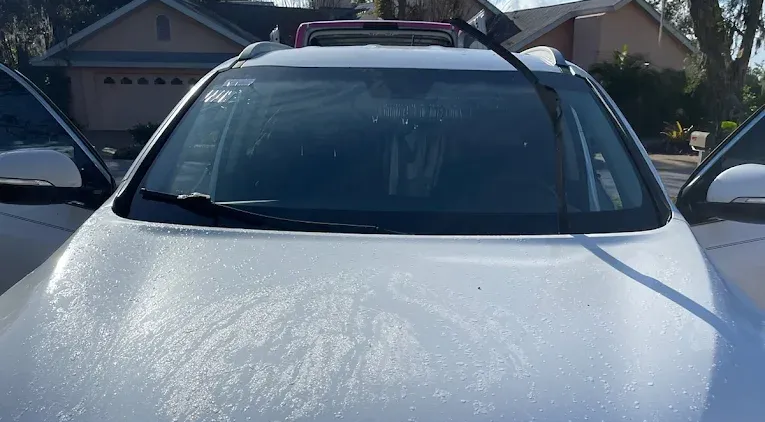 Windshield replacement company near Sarasota, FL