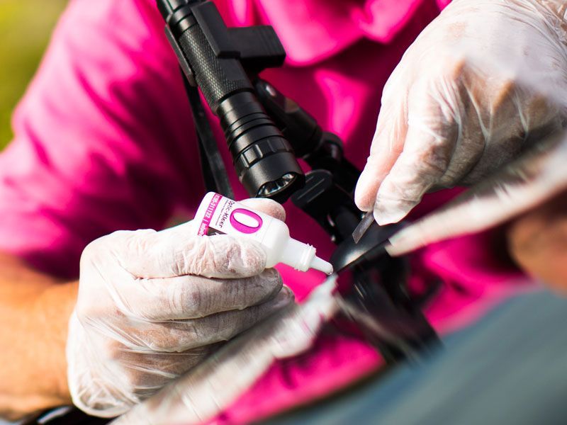 Windshield repair in Sarasota, FL Windshield repair in Sarasota, FL