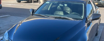 Rock chip repair near Sarasota, FL