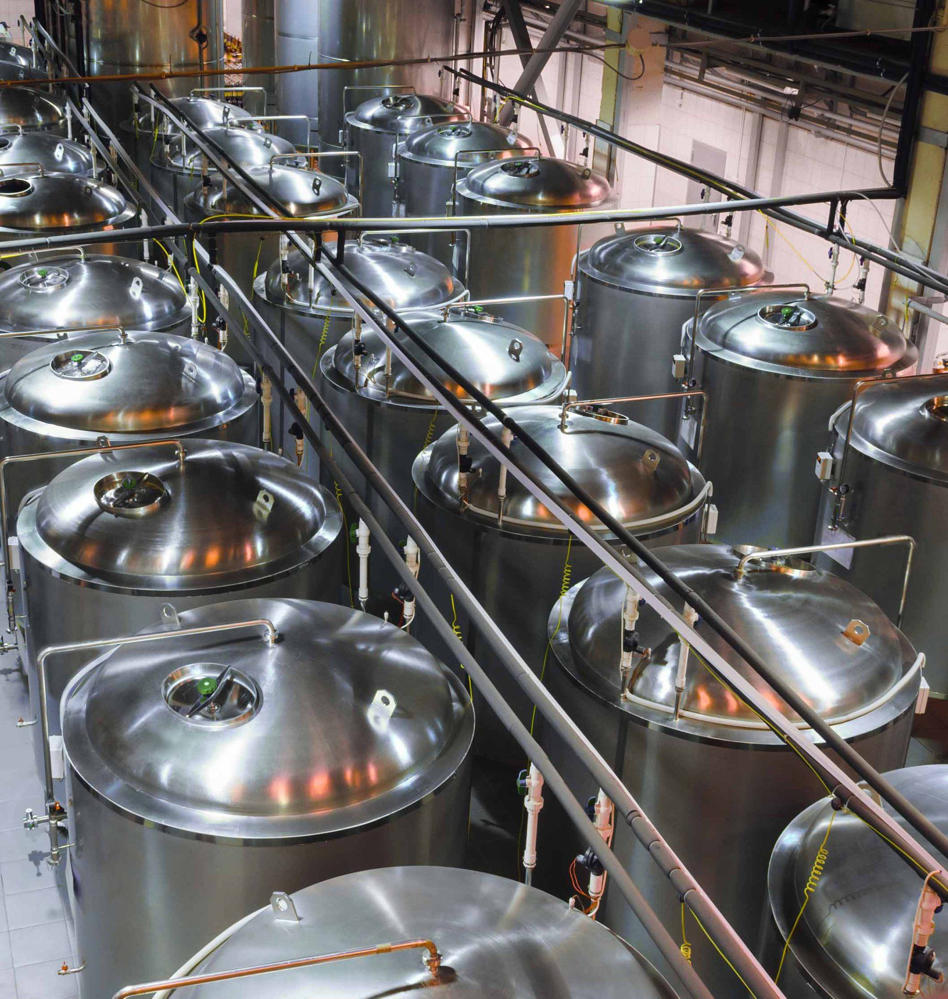 Large stainless steel fermentation tanks in a brewery.