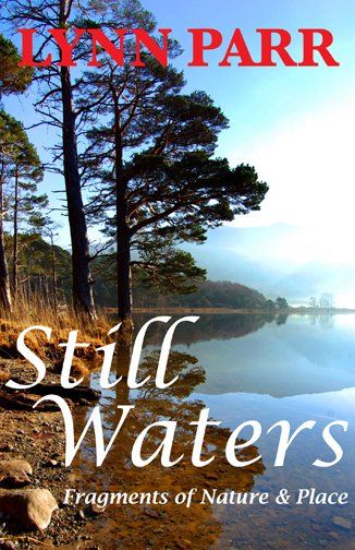 lynn_parr_still_waters_1