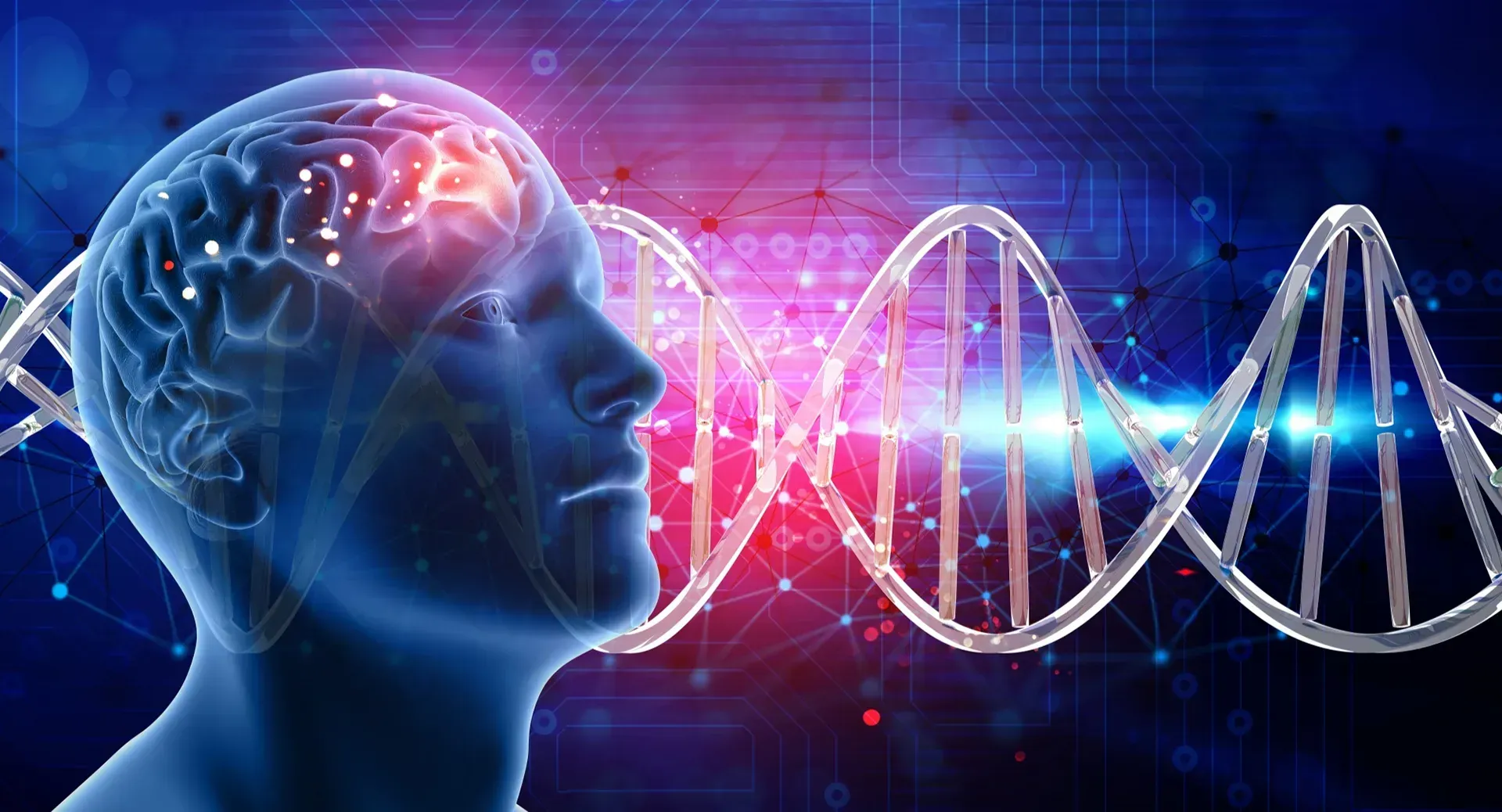 A silhouette of a person 's head with a brain and dna.
