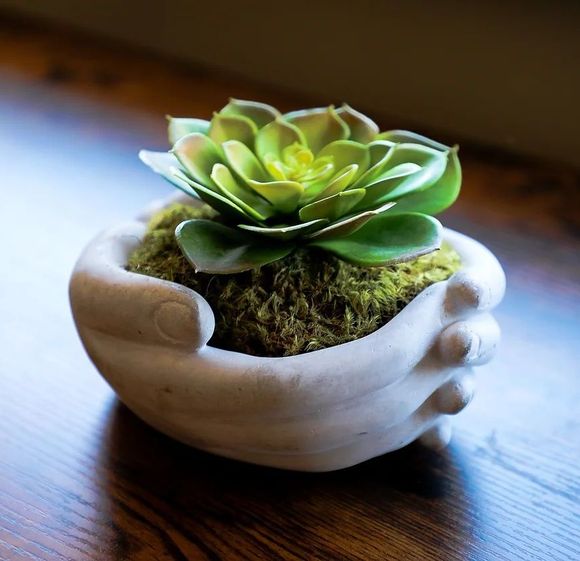 A hand holding a potted plant on a table