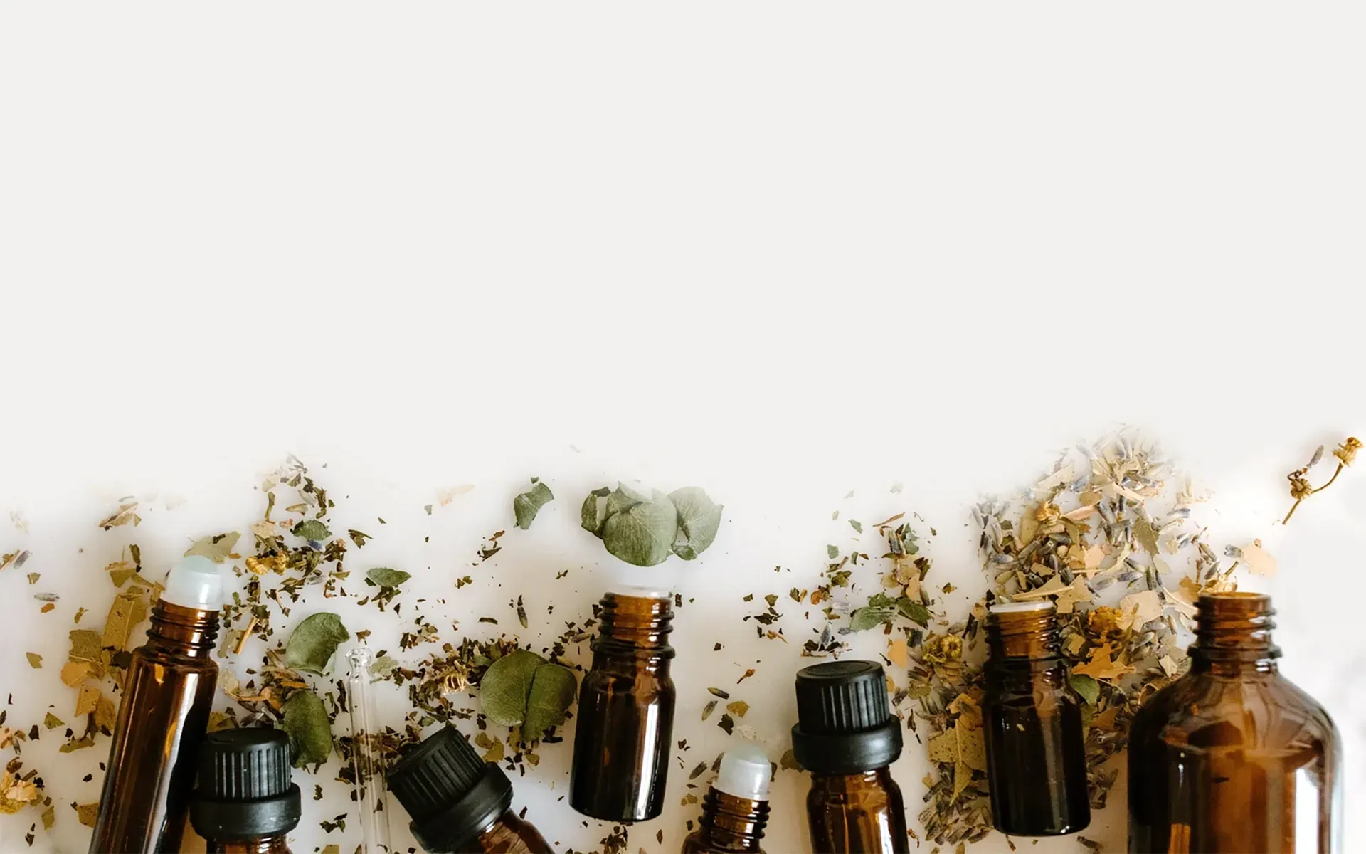 Discover how gratitude and generosity improve your physical and emotional health. Explore the scienc