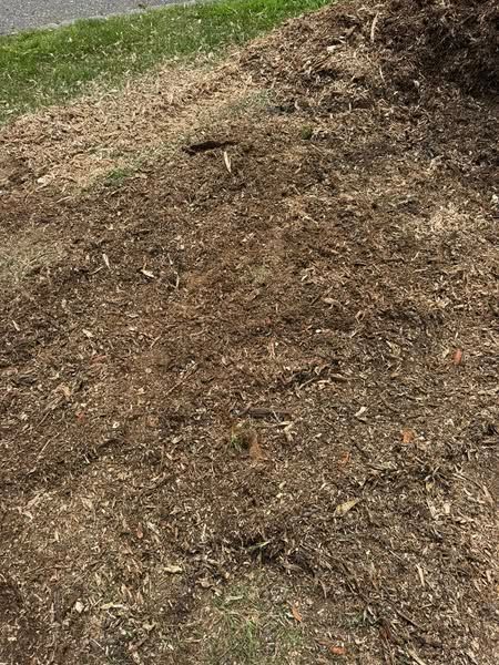Pile of brown wood chips on the ground near a green grassy area.