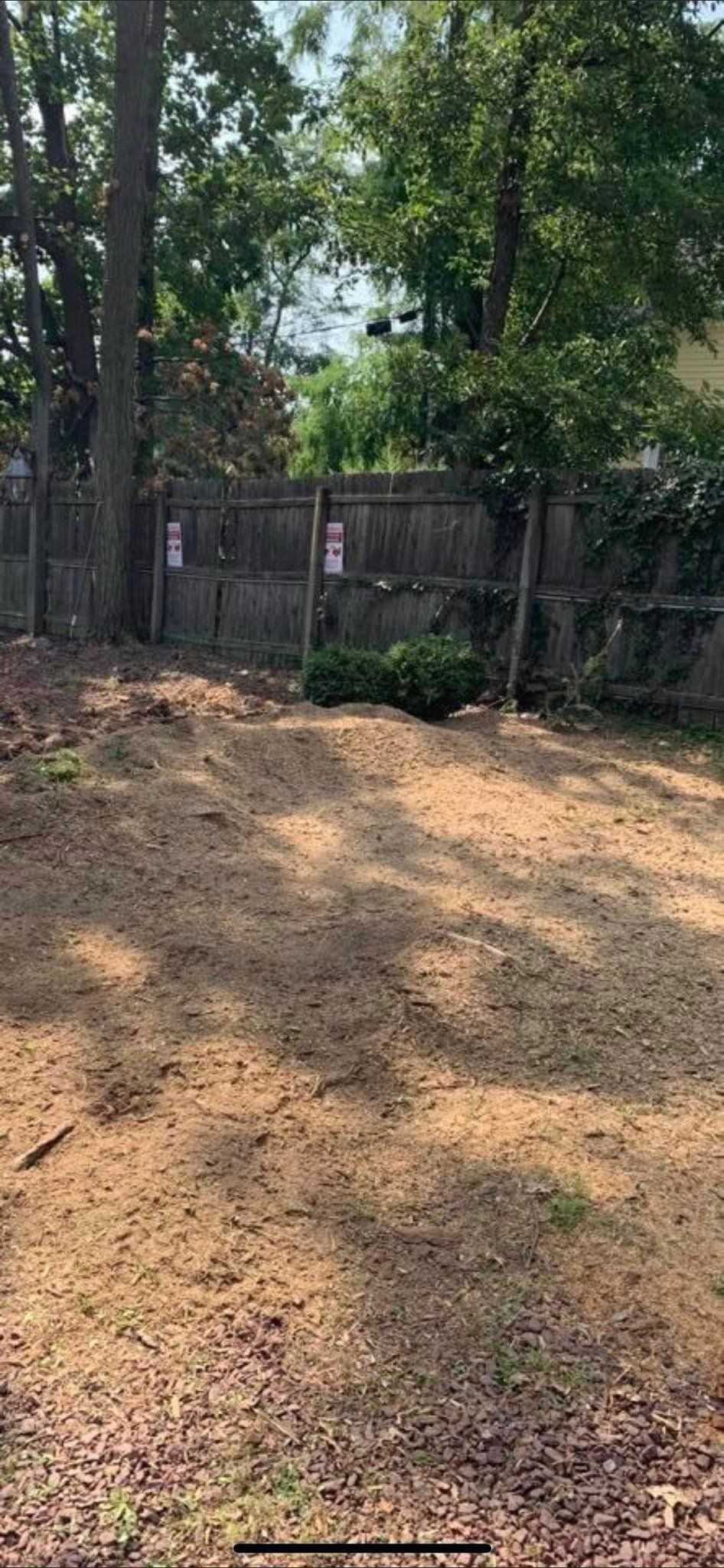 A dirt yard with a wooden fence in the background, trees on both sides.