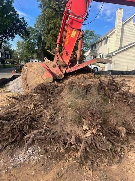 Excavator removing a tree stump, roots exposed, in front of a house.