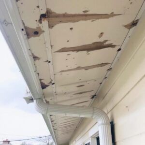White gutter and soffit with peeling paint and water stains with bite holes on a light-colored house.
