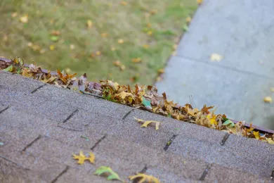 Overgrown roof gutter with fallen leaves in need of a gutter cleaning