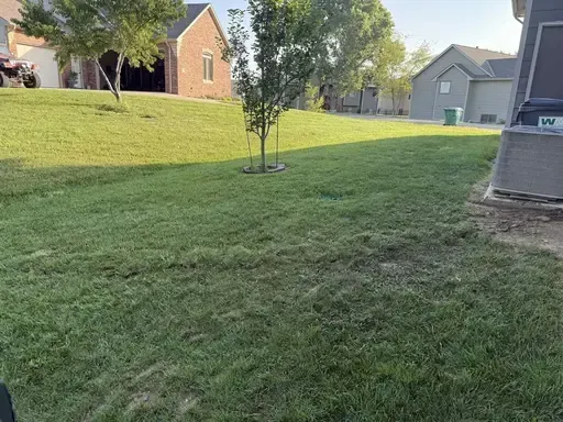Completed French drain installation with restored yard and landscaping around Wichita ranch style home