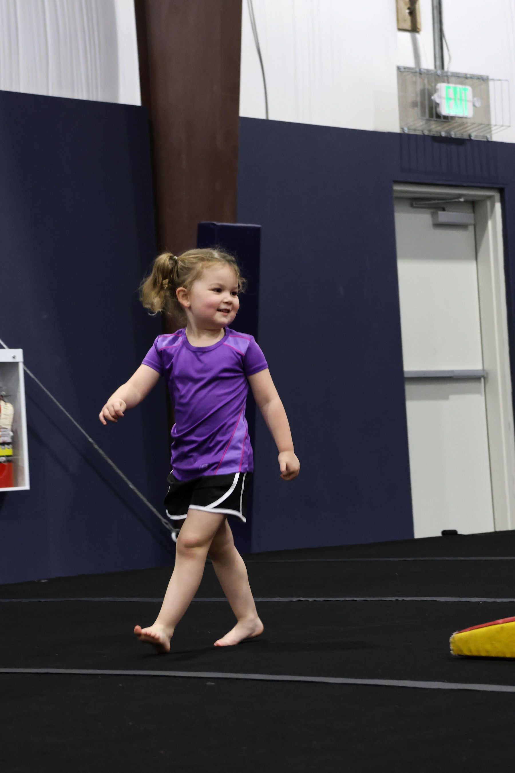 A bunch of purple and blue balloons against a blue sky