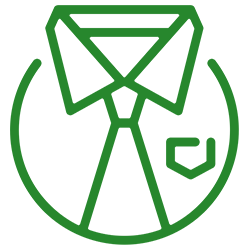 Icona - Professionalità