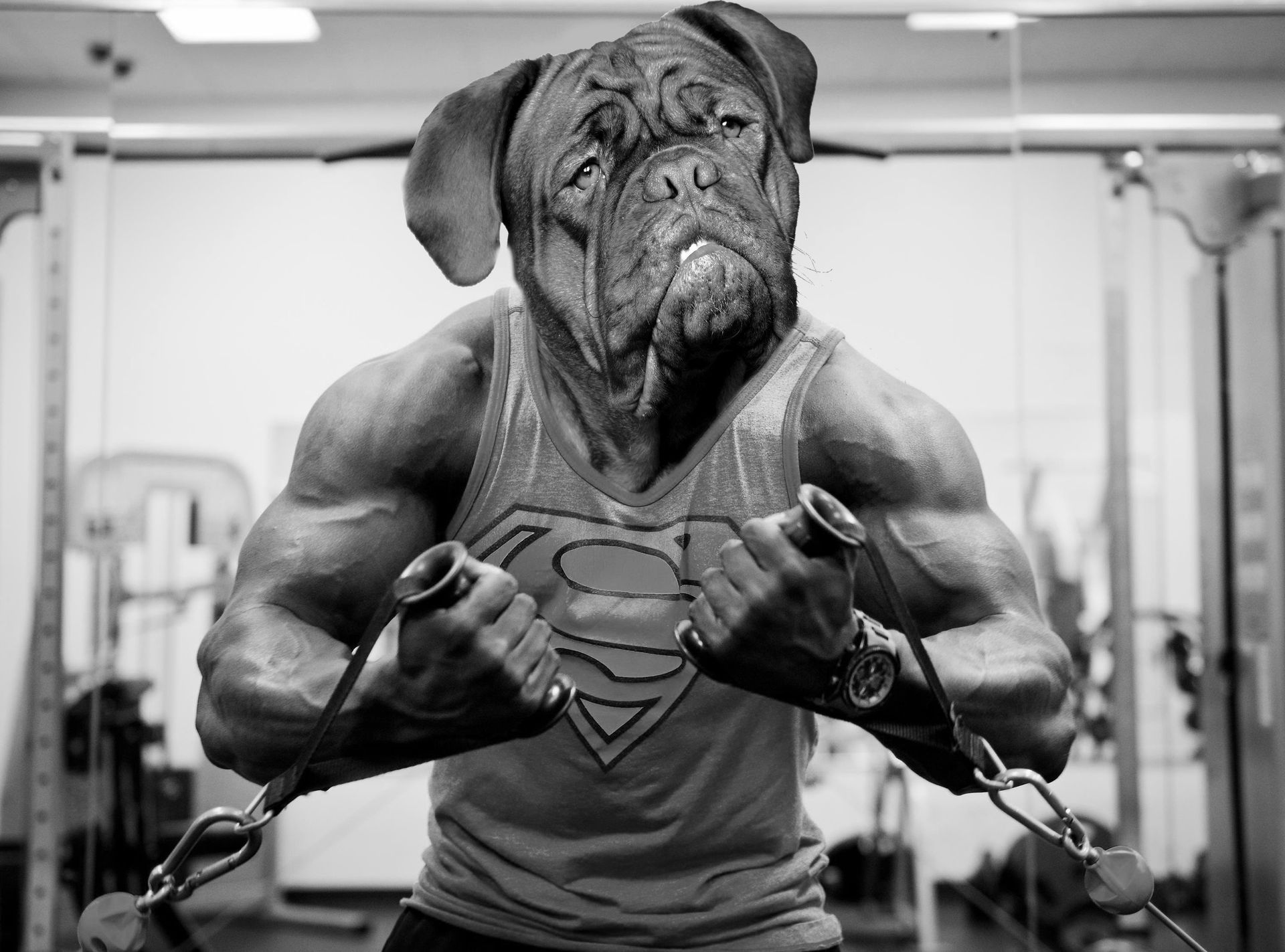 FLS Fitness The Blog