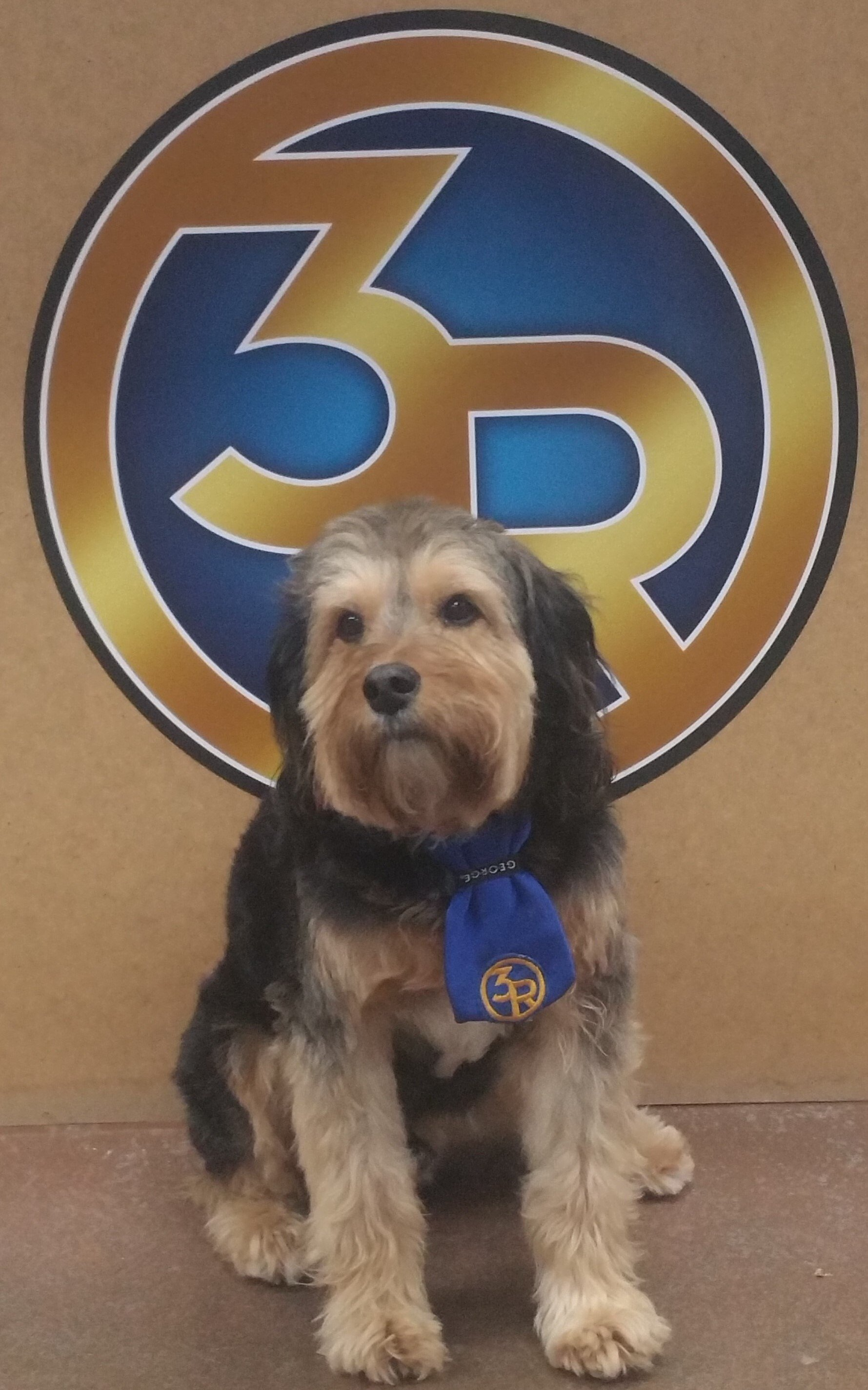 Bailey | Union, MO | 3R RV